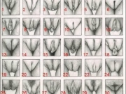 30种女生阴部各种形状知识普及