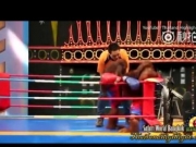 <b>泰国曼谷动物园强迫猩猩拳击比赛视频 猩猩穿上比基尼当拳击宝贝</b>