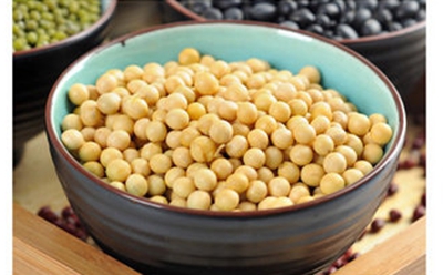 大豆含有蛋白酶抑制素