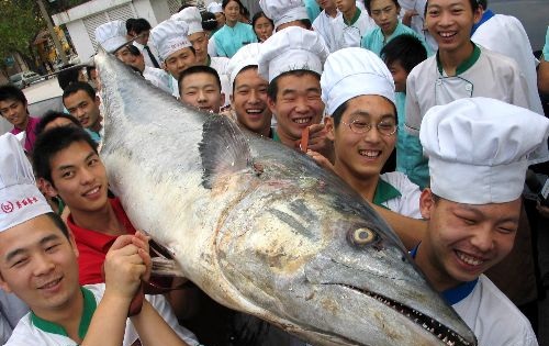 烟台现罕见鲅鱼王 纷纷围观巨型凶猛大鱼