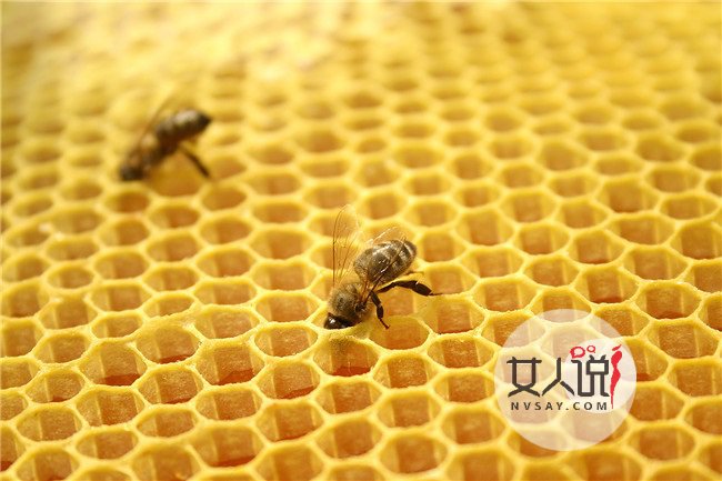 蜂胶怎么吃 吃蜂胶营养不流失的技巧你掌握了吗