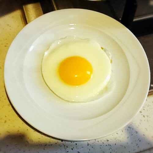 做菜其实可以很简单 盘点那些用鸡蛋就可以做出来的料理