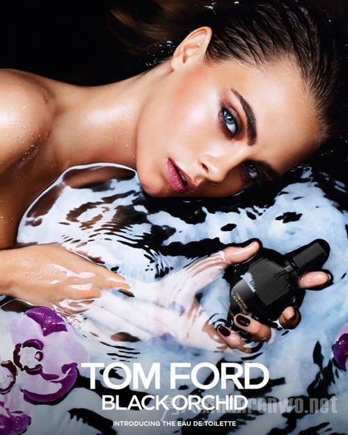Tom Ford， Black Orchid