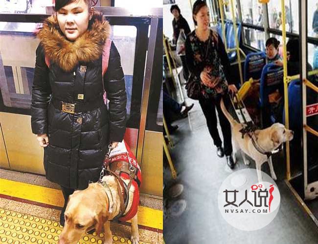 导盲犬乘公交被拒 专业的盲人指示灯为何如此不受待见