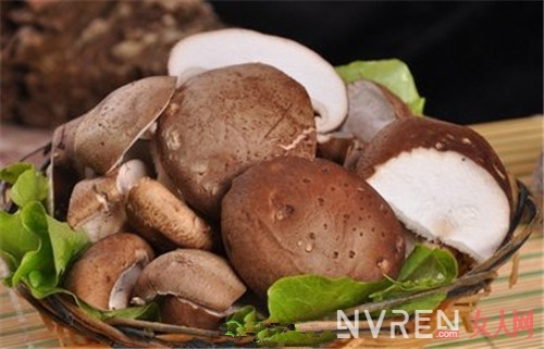 香菇的功效与作用 常吃香菇能够延缓衰老吗
