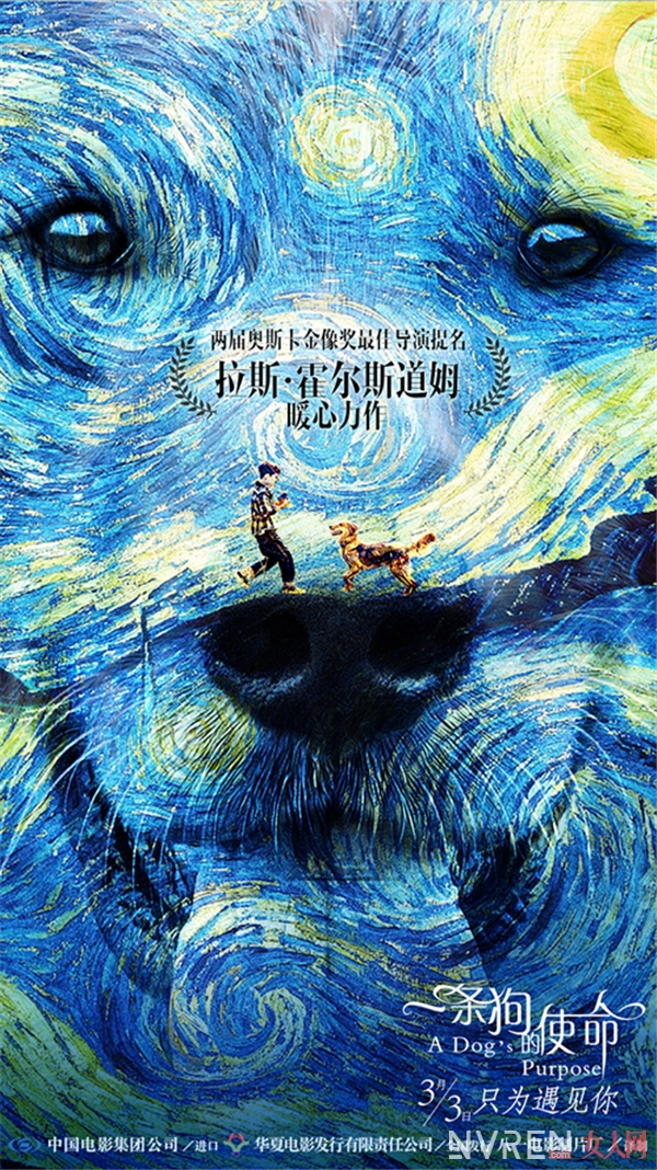 《一条狗的使命》定档3月3日 《忠犬八公的故事》导演再让你感动流泪