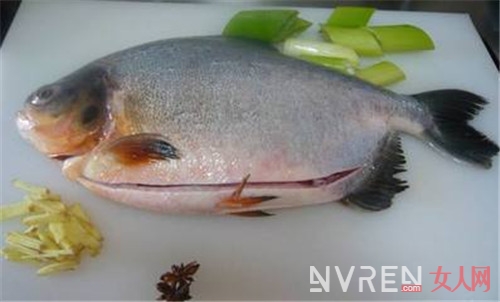 清蒸鱼怎么做美味 你知道哪4种鱼清蒸最好吃吗