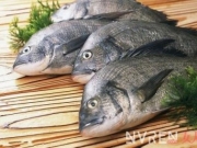 清蒸鱼怎么做美味 你知道哪4种鱼清蒸最好吃吗