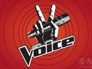 “The Voice”能否重见曙光 国内综艺原创之力何在