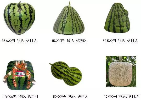 各种形状的西瓜