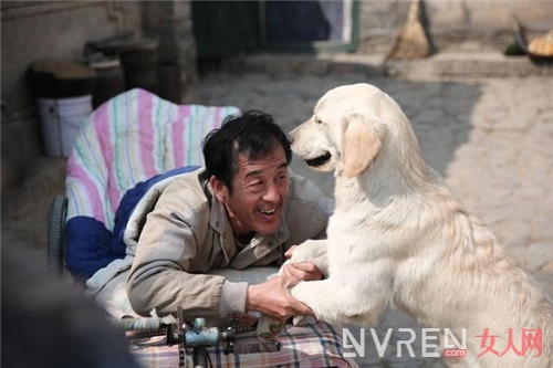 公益电影《忠爱无言》:老人与狗彼此相伴温情动人!