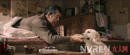 公益电影《忠爱无言》:老人与狗彼此相伴温情动人!