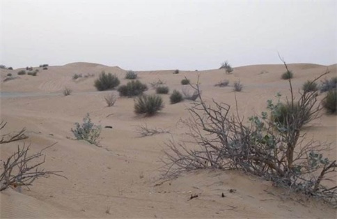 中国游客迪拜走失 遗体在沙丘被发现让人意想不到受到关注