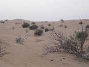 <b>中国游客迪拜走失 遗体在沙丘被发现让人意想不到受到关注</b>