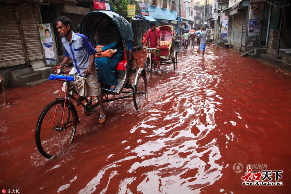 “血流成河”一场降雨后的孟加拉街道实拍-图5