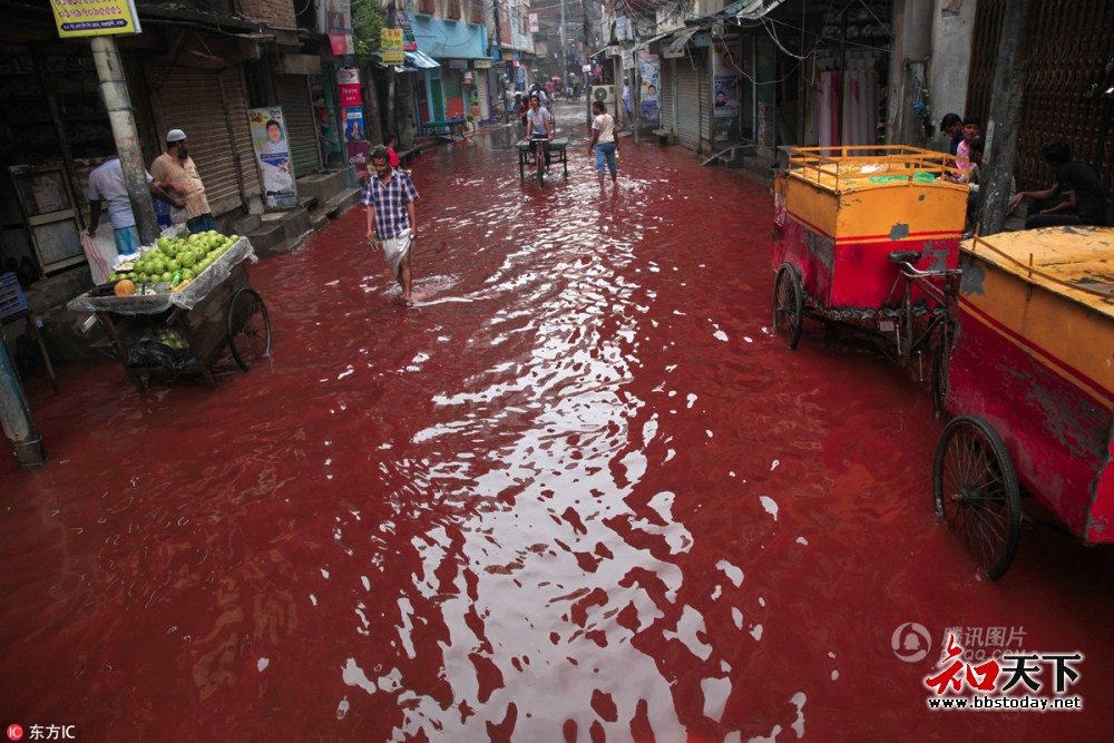 “血流成河”一场降雨后的孟加拉街道实拍-图1
