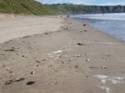 男子海中投放2000个漂流瓶缅怀爱妻 被批乱扔垃圾