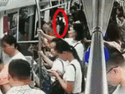 深圳地铁1号线一男子突然跑动致乘客慌乱下车 无人受伤