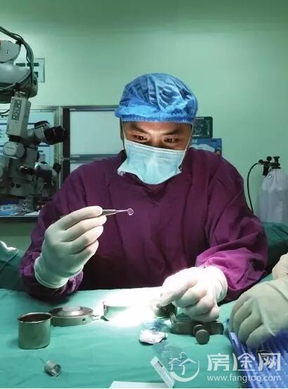 男子移植猪眼角膜 术后患者视力达0.3 二师兄眼角膜竟有如此功效！