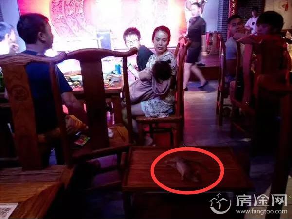 上海一火锅店天花板突掉老鼠
