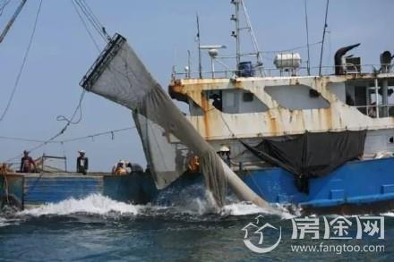 中国90%近海已无鱼可捕
