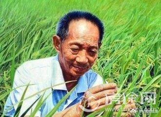 袁隆平宣布重大成果：水稻亲本去镉技术获突破 网友向袁隆平致敬！
