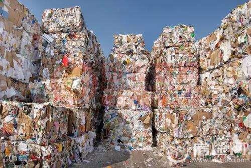 废纸回收涨价潮持续