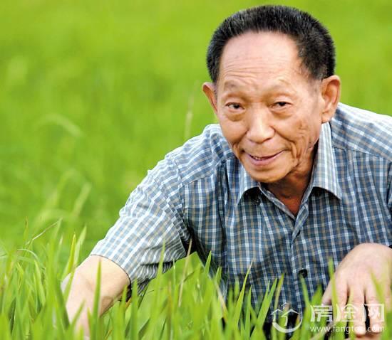 中国骄傲！袁隆平团队超级杂交稻亩产创世界新纪录:平均亩产1149.02公斤