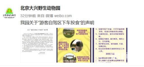 游客下车砸熊 北京野生动物园证实 两度下车投食