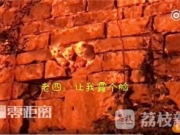 南京城墙“长”猫了 观测地点：南京玄武湖公园内明城墙上