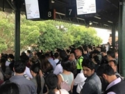 悉尼火车连续3天高峰时段延误 新州交通厅长致歉