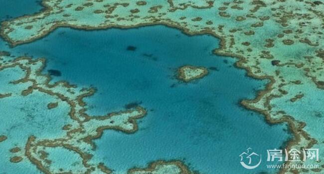 澳洲大堡礁正衰亡