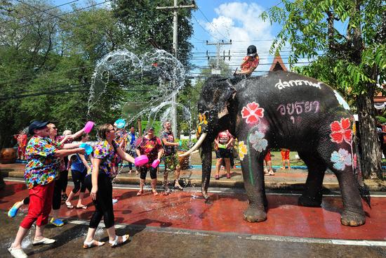 泰国举办“大象日”活动 今天大象们可以开心的吃个够了
