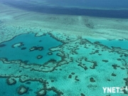 大堡礁近三成珊瑚消失 澳洲政府投入5000万澳币进行保护
