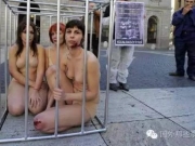 姑娘们“裸体”把自己关在笼子里，用行动抗议杀害动物！