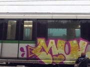 <b>京沪多名外国人翻墙进入地铁停放车厢上进行点涂鸦 戏谑安保人员视频</b>