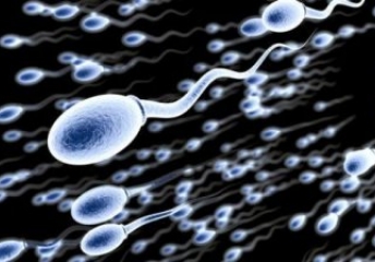 男人保护精子的最佳方法 男人吃什么食物最补精子