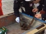 <b>郑州河道保洁员河内打捞垃圾 捞出近百发子弹是怎么回事</b>