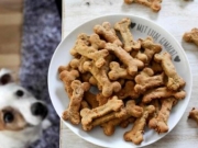 宠物零食怎么做好吃 最简单天然的宠物零食做法分享