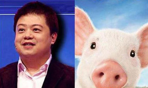 马东VS猪