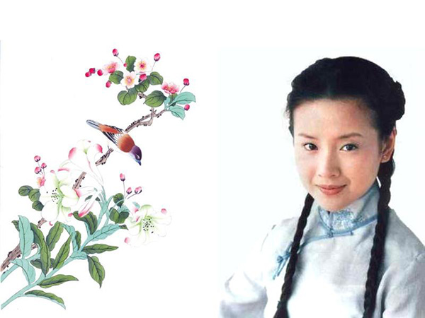 电视剧《金粉世家》