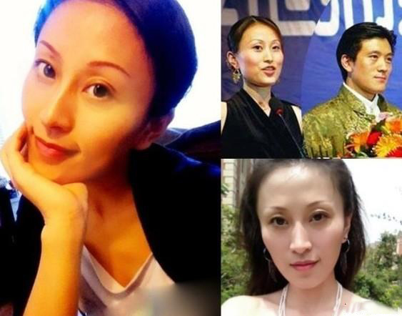 杨子的老婆陶虹