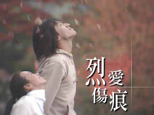 电视剧《烈爱伤痕》