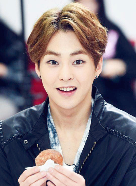 金珉锡(XIUMIN)