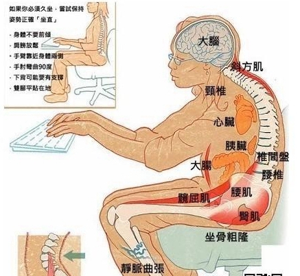 坐立身姿正确