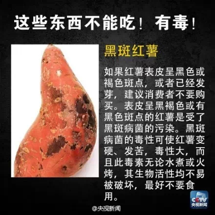 黑斑红薯