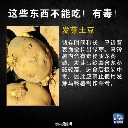 黑斑红薯