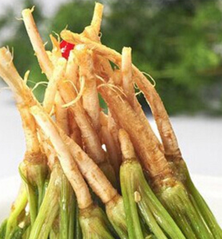 菜根合煮 防感冒