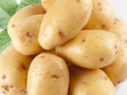 关于土豆你知多少 解析土豆六大误区