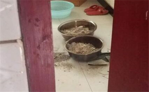 名校生工作1个月自杀 是学校没教育好的过错？还是学生自身的原因？